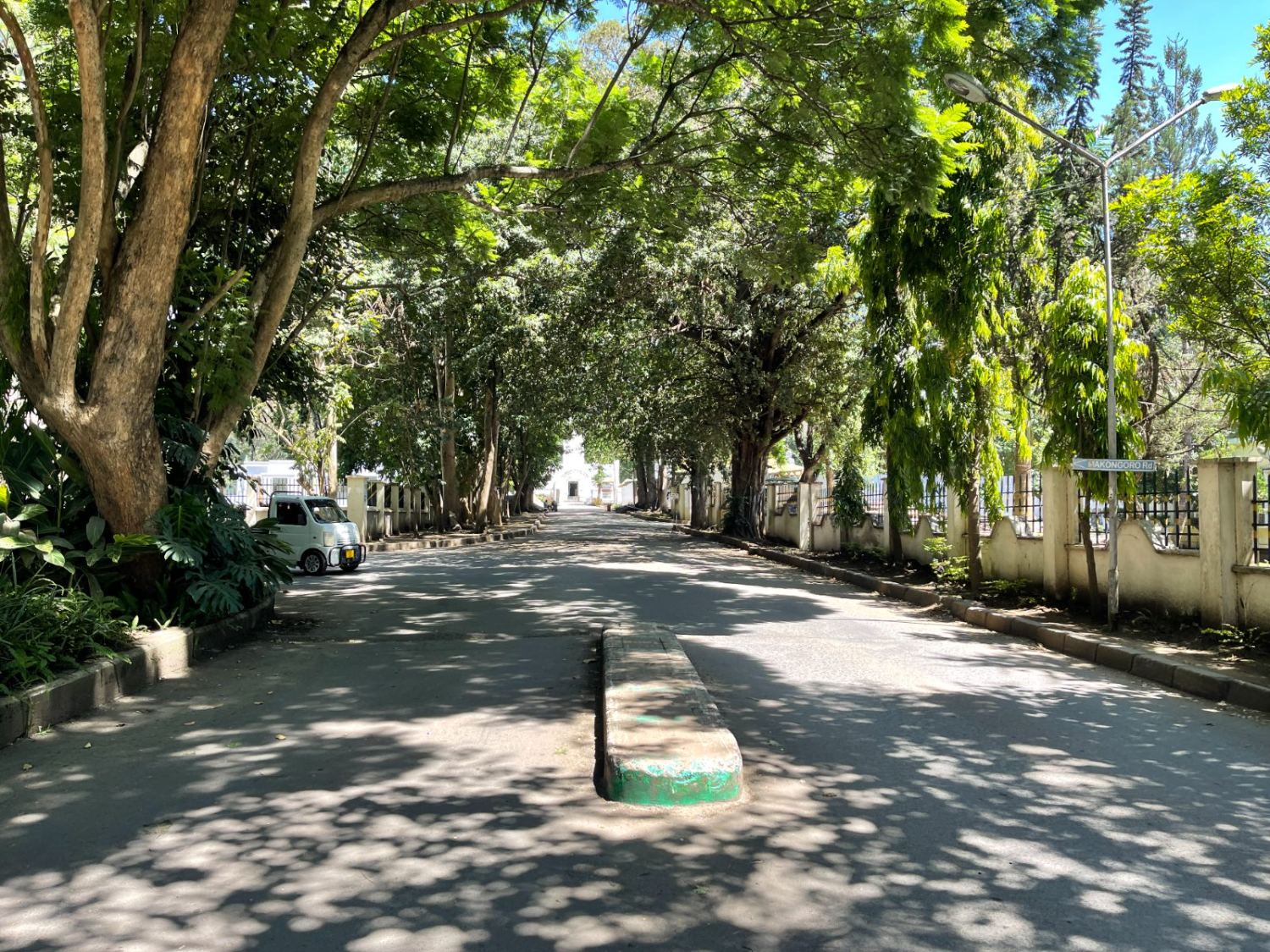 Belebte Boma Road in Arusha, Tansania, mit Geschäften und Passanten