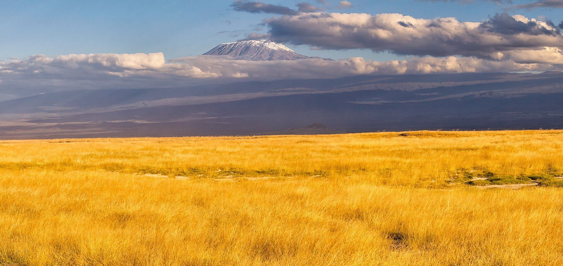 Schneebedeckter Kibo-Gipfel des Kilimandscharo über der Steppe, Tansania